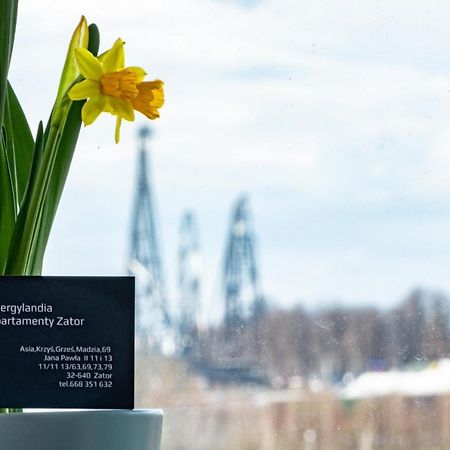 Energylandia Zator Apartament Grzes Екстер'єр фото