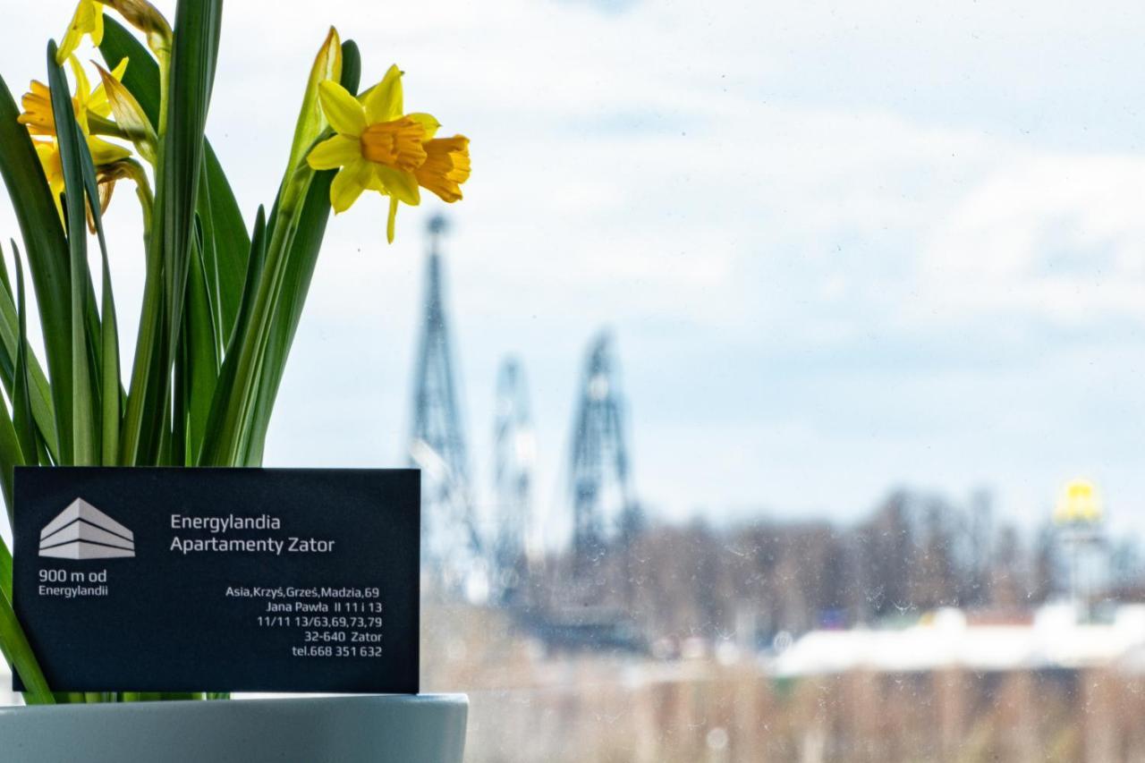 Energylandia Zator Apartament Grzes Екстер'єр фото